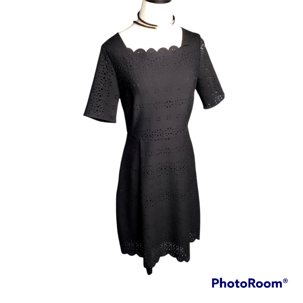 Banana Republic Laser Cut Scallops Pleats Fit & Flare Short Sleeve LBD EUC